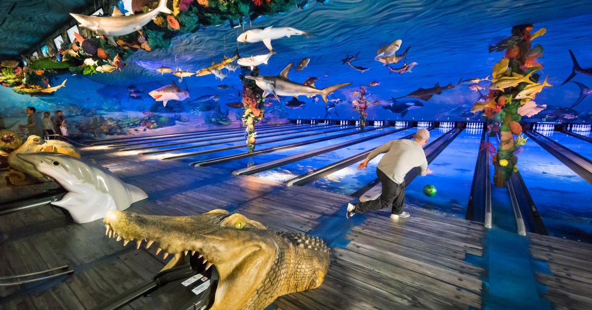 Fun Mountain at Big Cedar Lodge Explore Branson